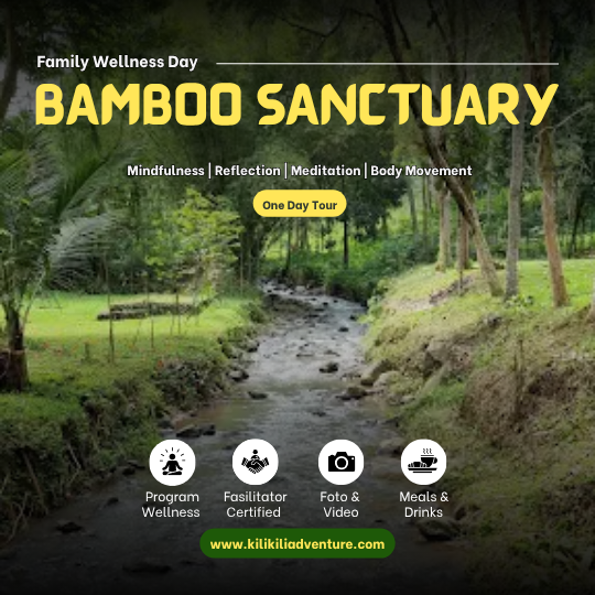 Bamboo Sanctuary 1D