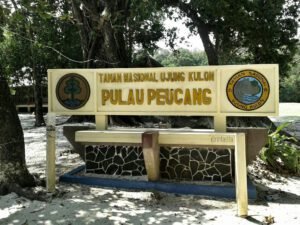 https://kilikiliadventure.com/seperti-apa-sih-perjalanan-jiwa-di-ujung-kulon-ini-yang-akan-sodara-kili-rasakan/