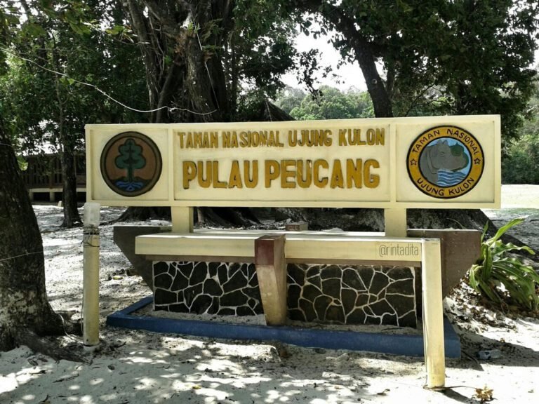 https://kilikiliadventure.com/seperti-apa-sih-perjalanan-jiwa-di-ujung-kulon-ini-yang-akan-sodara-kili-rasakan/