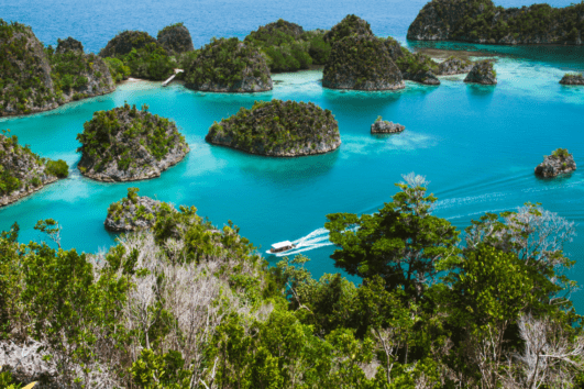 Outing Kantor Raja Ampat 4D3N