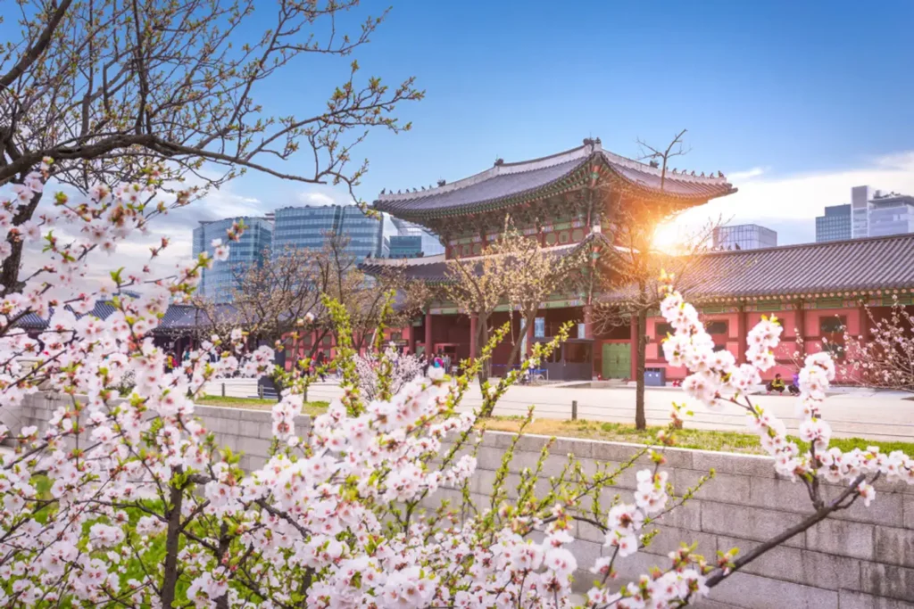 Wisata Busan Korea Selatan 5 Hari 4 Malam