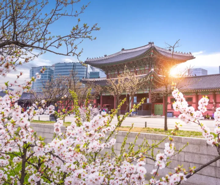 Wisata Busan Korea Selatan 5 Hari 4 Malam