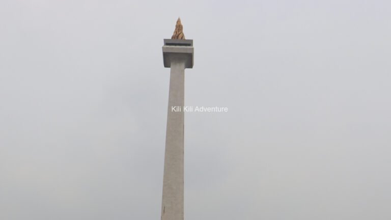 Monas