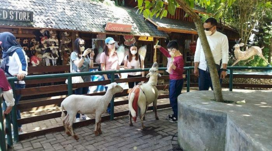 kebun binatang mini di farmhouse lembang