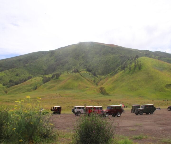 savana bromo kilikiliadventure.com