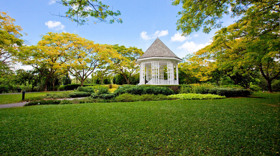 Singapore Botanic Gardens 