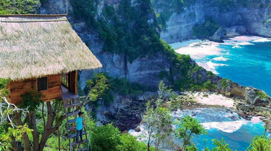 Desain yang unik treehouse nusa penida