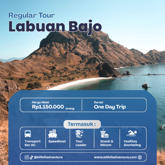 Labuan Bajo Komodo 1D