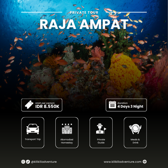 Raja Ampat 4D 3N