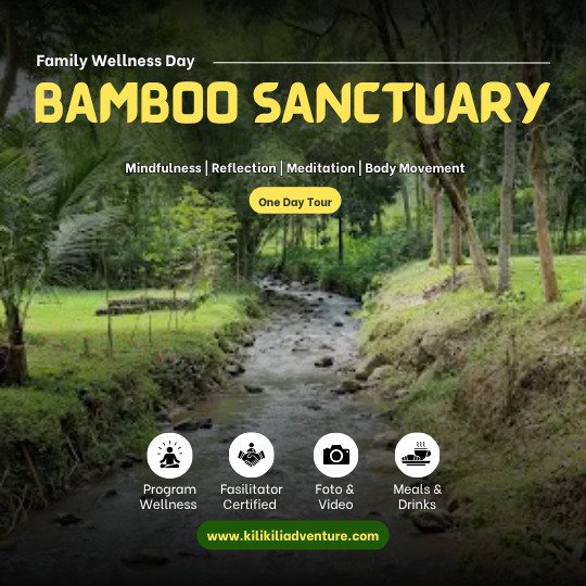 Bamboo 2D 1N