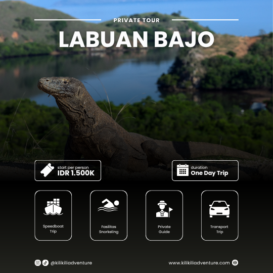Labuan Bajo Komodo 1 Day