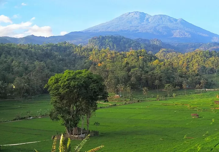 Peserta eco trekking menikmati jalur alam di Desa Wisata Bantaragung