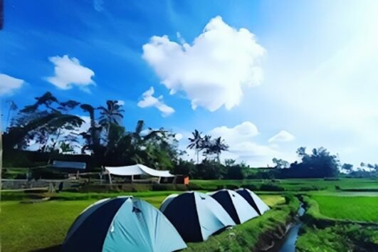 2D1N Give & Grow Desa Cisande Sukabumi