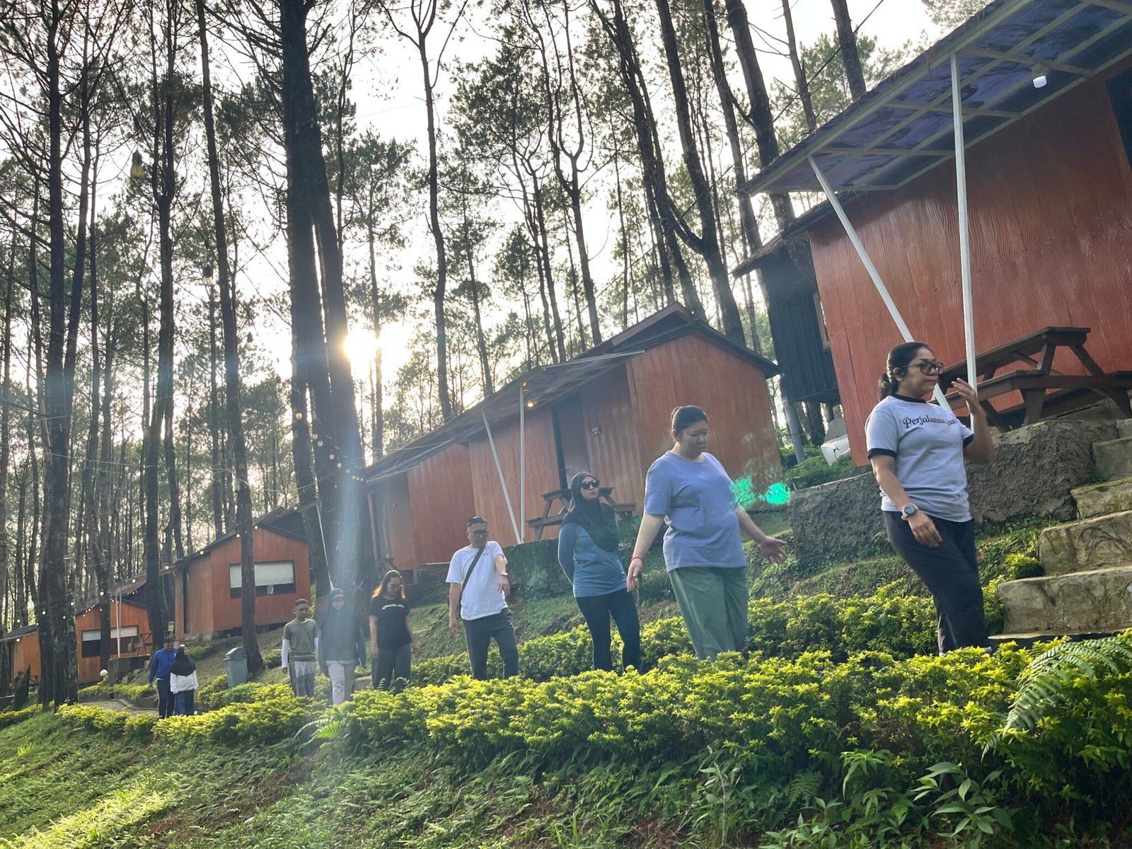Mindfulness Walking