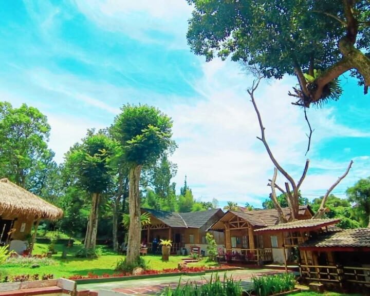 Kegiatan 1 Day Team Building Bamboo Sanctuary Pancawati Bogor bersama Kili Kili Adventure untuk membangun kekompakan tim