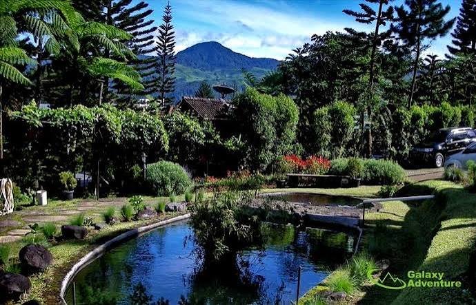 Kegiatan 1 Day Team Building The Pinewood Lodge Puncak Bogor bersama Kili Kili Adventure untuk membangun kekompakan tim