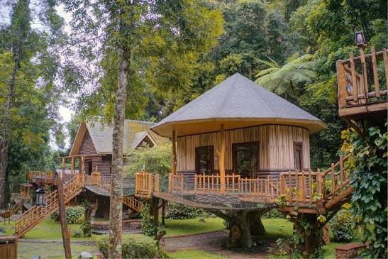 Kegiatan 1 Day Team Building Safari Resort Puncak Bogor bersama Kili Kili Adventure untuk membangun kekompakan tim.